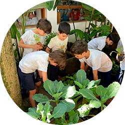 Escola Viva destaque LP8