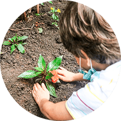 sustentabilidade_3 sustentabilidade_3